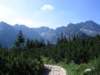 img_3594_small.jpg