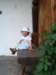 img_3764_small.jpg
