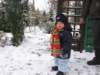 Photo Number 13