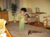 Photo Number 4