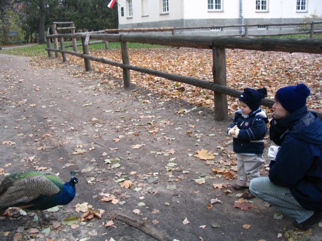 obraz001.jpg