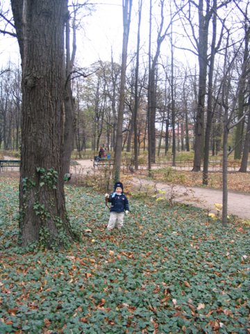 obraz038.jpg