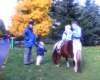 image_00616_small.jpg