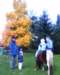 image_00617_small.jpg