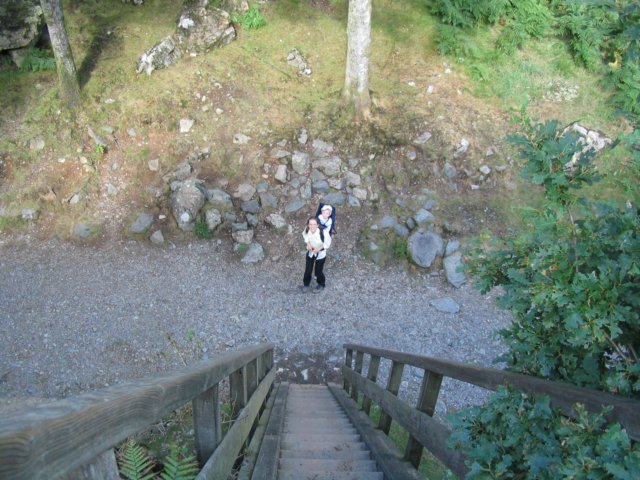img_4242.jpg