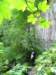 img_4334_small.jpg