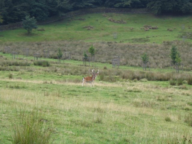 img_4417.jpg