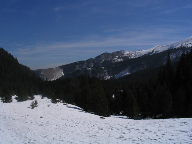 img_5496.jpg