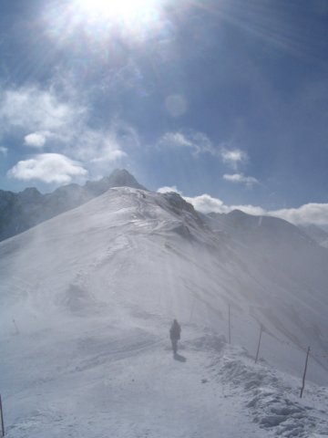 img_5524.jpg