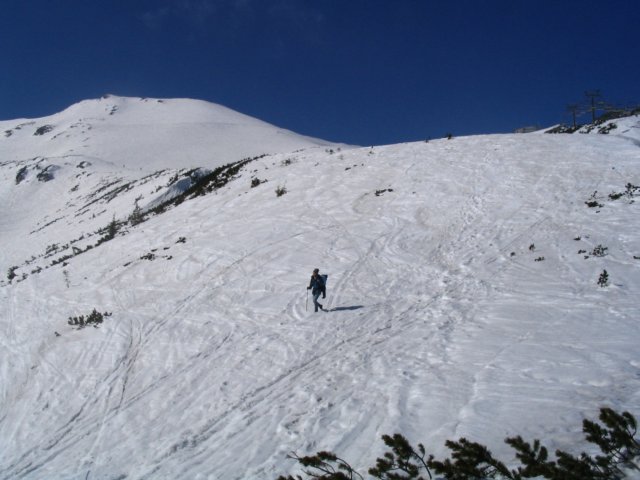 img_5561.jpg