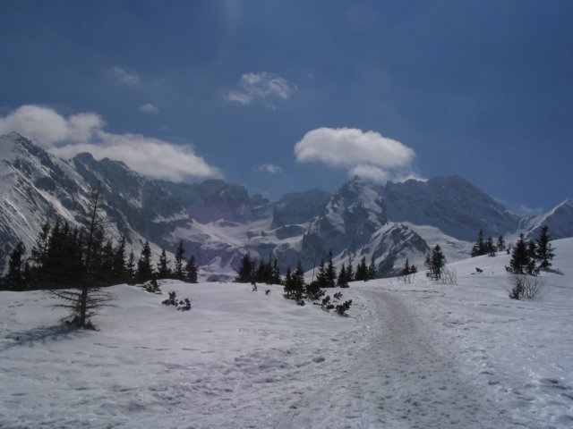 img_5593.jpg