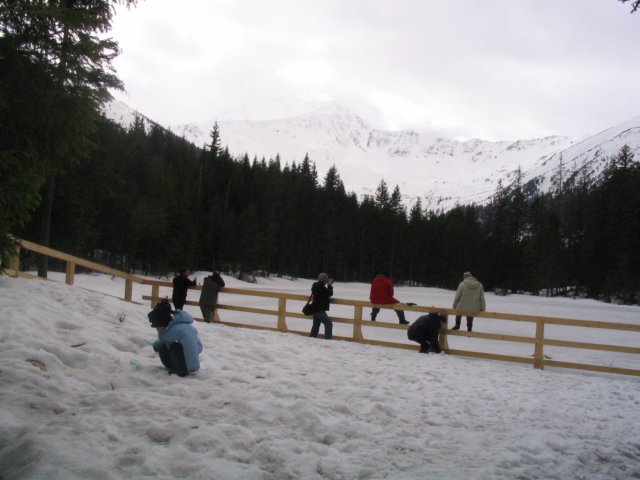 img_5647.jpg