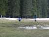 img_5668_small.jpg