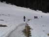 img_5681_small.jpg
