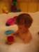 img_4656_small.jpg