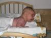 Photo Number 5